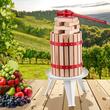 Presa mica pentru struguri si fructe moi, Capacitate 6 l, Otel/Lemn fag, 430x290x575 mm