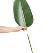Planta artificiala decor Pasarea Paradisului, Dimensiuni 700 x 700 x 1524 mm, verde, PE si Inox