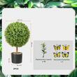 Set 2 plante artificiale, Dimensiuni 350x559 mm, Verde/Maro, PE si lemn