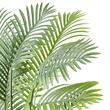 Palmier artificial, Inaltime 2 m, Verde/Maro, PE si Inox