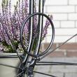 Suport pentru flori in forma de bicicleta Vintage, 3 rafturi, dimensiune 100x38x96 cm