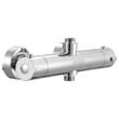 Baterie dus termostatica, Argintiu, Debit de apă reglabil, 20-50 ℃, 270 x 40 x 40 mm