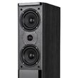 SISTEM AUDIO PASSION NEGRU KRUGER&MATZ