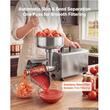 Masina electrica de stors rosii, capacitate 90 kg/h, motor cu inductie 250 W, Inox