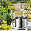 Presa manuala pentru struguri, Inox, 30 x 32 x 43 cm, capacitate 5.5 l