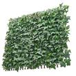 Gard artificial confidentialitate, Extensibil, 63.5 x 320 cm, Verde