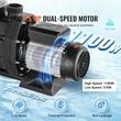 Pompa pentru piscina cu filtru detasabil, 2 Viteze, 1100 W, Debit 19200 l/h, inaltime pompare 17 m