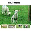 Set gard electric pentru animale, accesorii montaj incluse, Inaltime 1.21 x lungime 30.48  m, Incarcator solar incorporat