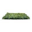 Gard artificial confidentialitate buxus, 3000 x 1500 x 40 mm, Verde
