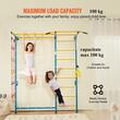 Structura de catarat multifunctionala 7 in 1, fixare pe perete, max 100 kg, Inaltime 2200 mm, latime 1985 mm