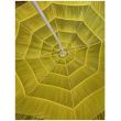 Umbrela pentru plaja Wakiki Green, nylon si metal, 180 cm, verde