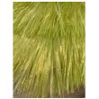 Umbrela pentru plaja Wakiki Green, nylon si metal, 180 cm, verde