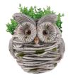 Ghiveci decorativ Strend Pro Bufnita, ceramica, 27.5 x 24 x 30 cm