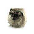 Decoratiune gradina Strend Pro Ceramic Gecco 2440, Ceainic pentru flori, 40x23x20 cm
