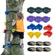 Set 12 pietre de catarat, Multicolor, accesorii prindere incluse, 6 x curele cu clichet, max 105 kg