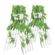 Set 2 spaliere pentru castraveti, plante agatatoare, 100x80, Pliabil