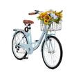 Bicicleta de oras, Roti 24 inch, 2 x frane V-Brake, Cos cumparaturi, max 150 kg, Otel, mansoane maner piele, 7 viteze Shimano, Albastru