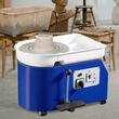 Roata de olarit profesionala, electrica, 350 W, diametru placa 28 cm, 60-300 rpm, rotatie in ambele sensuri, Pedala, max 5 kg