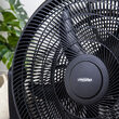 Ventilator de podea 180 W, Negru, Diametru 50 cm, 3 trepte viteza