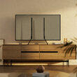 Suport picioare TV Led, diagonala 23-75 inch, max 40 kg, standard Vesa 