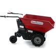 Roaba electrica Geotech e500, 1 kW, 48 V, 20 Ah, viteza 5 km/h, capacitate 500 kg, basculabila electric