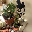 Decoratiune gradina / ghiveci Krodesign Scared Chicken KRO-1133, metal, inaltime 64 cm