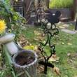 Decoratiune gradina / ghiveci Krodesign Scared Chicken KRO-1133, metal, inaltime 64 cm