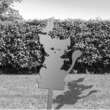 Decoratiune gradina / ghiveci Krodesign Cat&Bird KRO-1142, metal, inaltime 59 cm