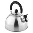 Ceainic cu fluier rabatabil, Teesa Inox, capacitate 1.8 l, Inox, fund ingrosat, Diametru 18.5 cm