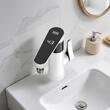 Robinet electric Instant 3000 W, Afisaj Led, Protectie la supraincalzire, Inox, IPX4, 2 l/min, Negru/Alb