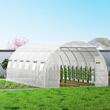 Sera pentru flori si legume, Alba, 6.1 x 3 x 2.1 m, 140 g/cm³ PE, cadru din Otel galvanizat, 12 ferestre