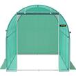 Sera pentru flori si legume, 3.7 x 2.1 x 2.1 m, 140 g/cm³ PE, cadru din Otel galvanizat, 6 ferestre