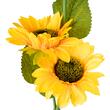 Lampa solara decorativa Floarea Soarelui, 0.2 W, 3000K, 8 lm, IP65, timp de lucru 6-8 ore