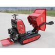 Roaba cu motor GeoTech 550DHS Hydro, 9CP, 5km/h, 500Kg, 224x77x121cm, cuva extensibila si basculabila si lopata incarcare