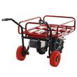 Carucior electric Geotech E-Truck, 2 motoare 2x500W, max 200 Kg, Li-Ion 6Ah, 40V, 6 km/h, Laturi extensibile