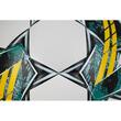 Minge fotbal Select Pioneer TB IMS T26-17849, marimea 5