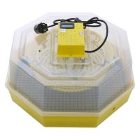 Incubator electric Ipee CleoT, Termometru, capacitate 60 oua de gaina