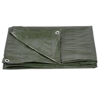 Prelata pentru gradina Strend Pro Premium dimensiune 2x4 m, cu inele de prindere, 65g/m², UV
