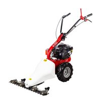 Motocositoare Eurosystems M210, motor Briggs&Stratton 450E, putere 3.5 CP, bi-lama 870 mm, autopropulsata, 1.5-4.7 cm