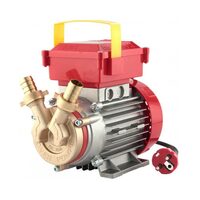 Pompa de transvazare lichide Rover By-Pass, 550 W, 2400 L/h, racord 25 mm, bronz