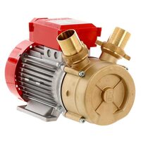 Pompa de transvazare lichide Rover, 800 W, 14400 L/h, racord 50 mm, Bronz, inaltime 25 m