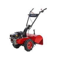 Motocultor GeoTech MCT 550, putere 7 CP, latime de lucru 60 cm, 3 trepte de viteza, freze cu rotatie inversa