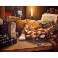 Kit pictura pe numere 40x50cm, Lazy Cat PPT74