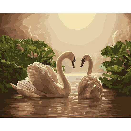 Kit pictura pe numere cu pasari, 40x50 cm, Swans, PPT87
