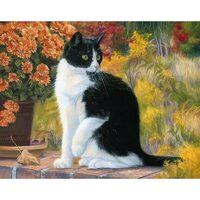 Kit pictura pe numere cu animale, 40x50 cm, Cat photography, PPT104