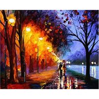 Kit pictura pe numere cu peisaje, 40x50 cm, Night walking, PPT123