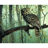 Kit pictura pe numere cu pasari, 40x50 cm, Owl, PPT126