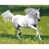 Kit pictura pe numere cu animale, 40x50 cm, PPT285