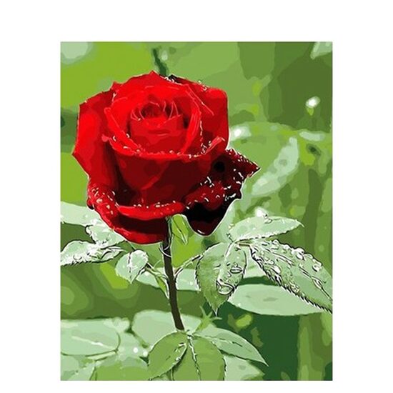 Kit pictura pe numere cu flori, 40x50 cm, PPT287