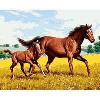 Kit pictura pe numere cu animale, 40x50 cm, PPT288